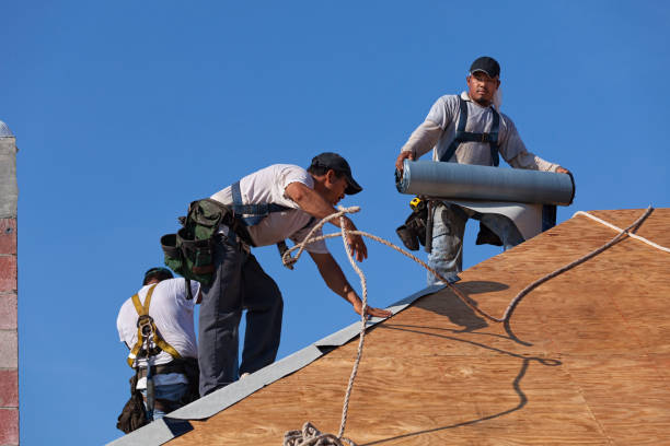 Best Roof Gutter Cleaning  in Folkston, GA